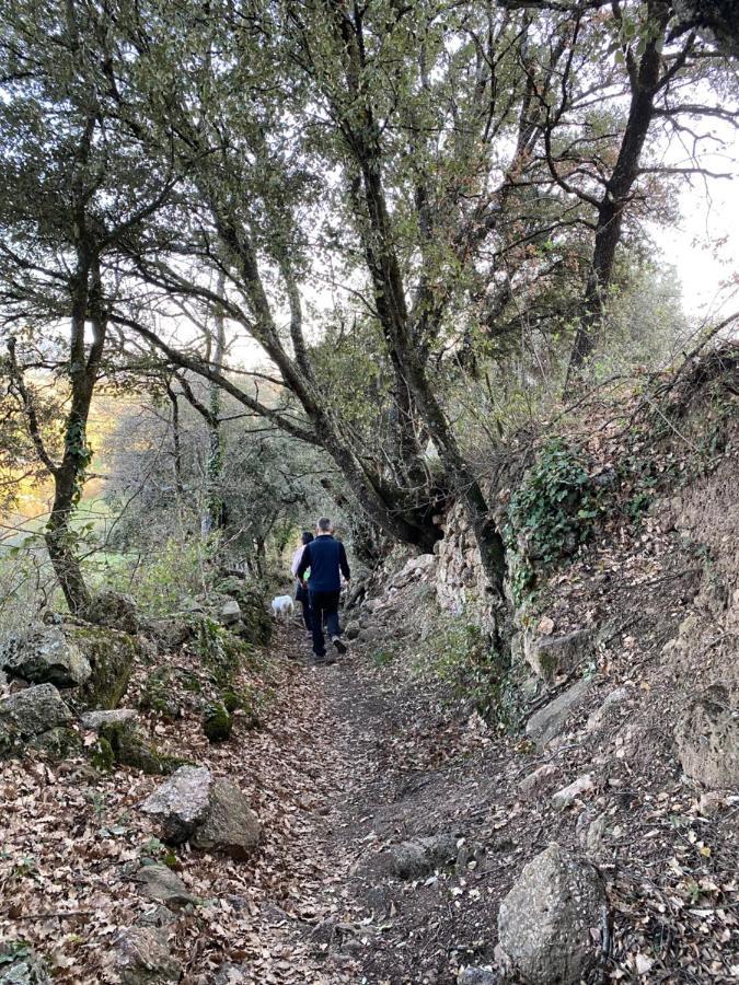 הוילה Peramea Casa Parramon מראה חיצוני תמונה